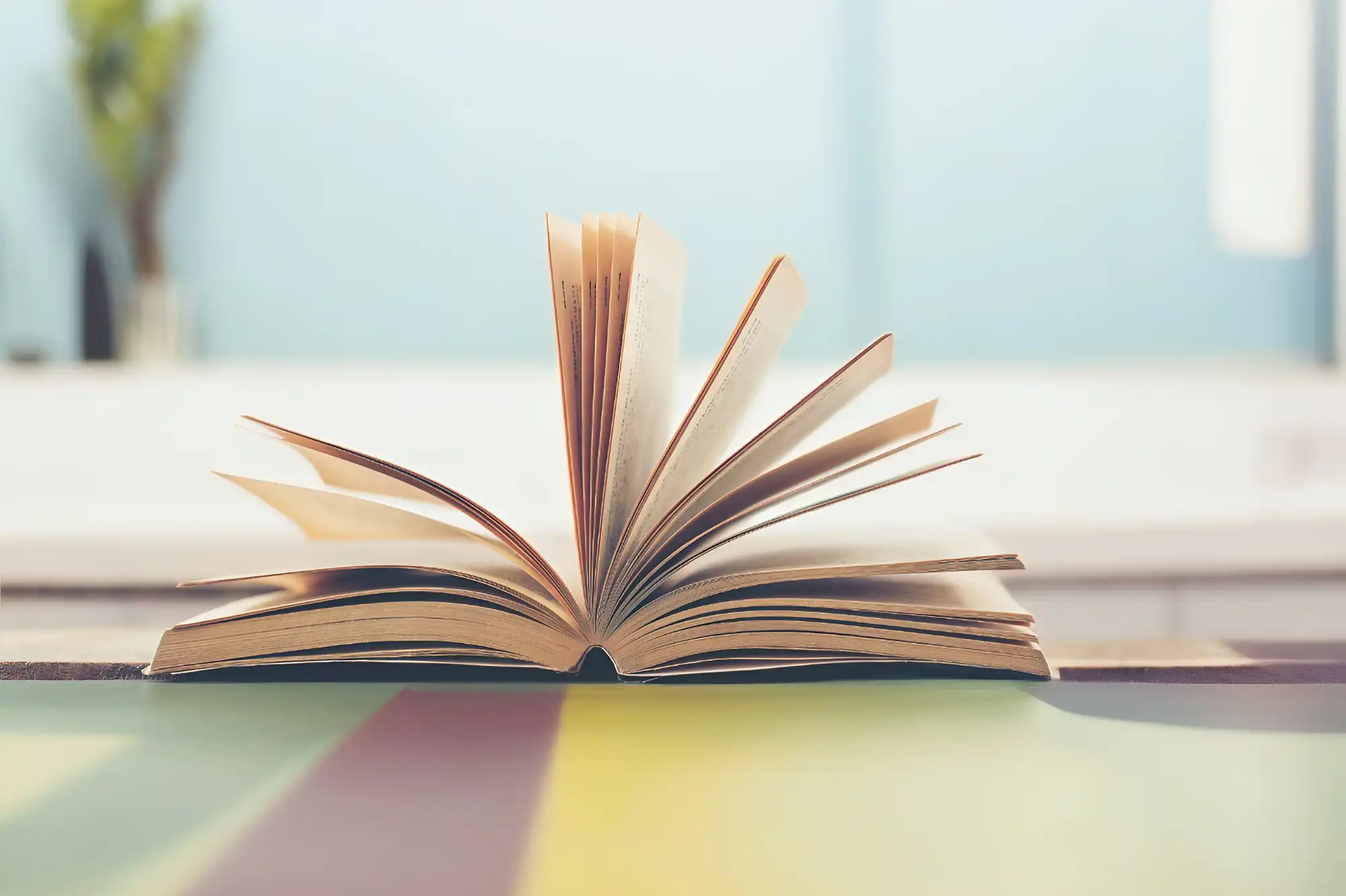 Kitap tasarımı ve mizanpaj örnekleri